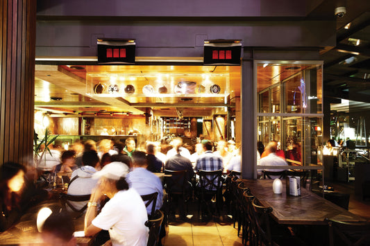 Bromic Platinum 500 Heater