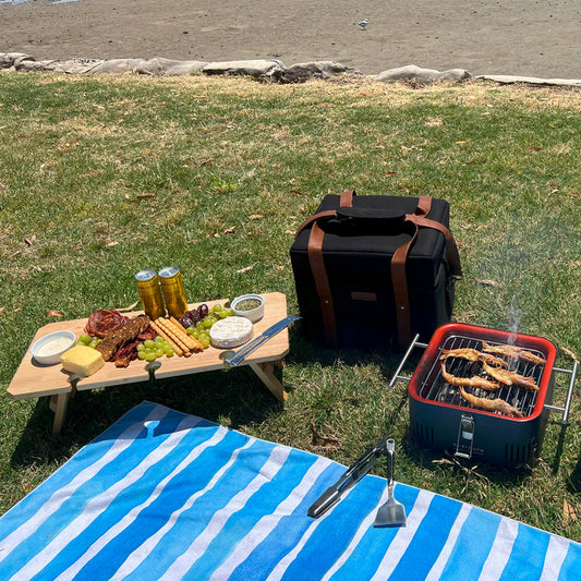 Everdure CUBE Travel Bag