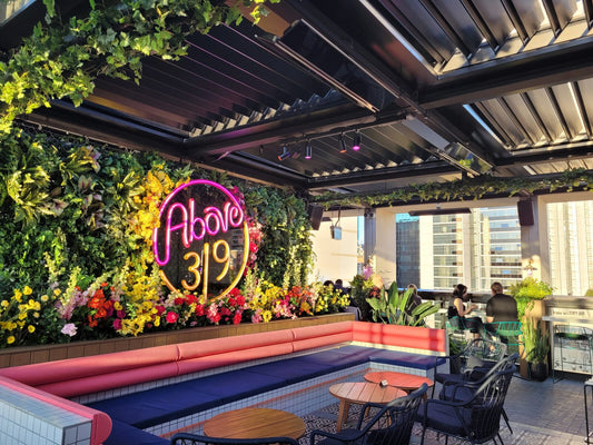 Package: 2 x 4 500W Bromic Platinum with dimmer control panel