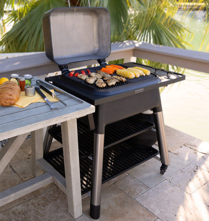 Everdure FORCE 48-Inch 2-Burner Propane Gas Grill