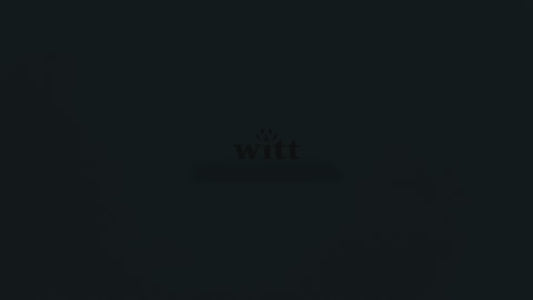 Witt ETNA Rotante 16" Pizza Oven